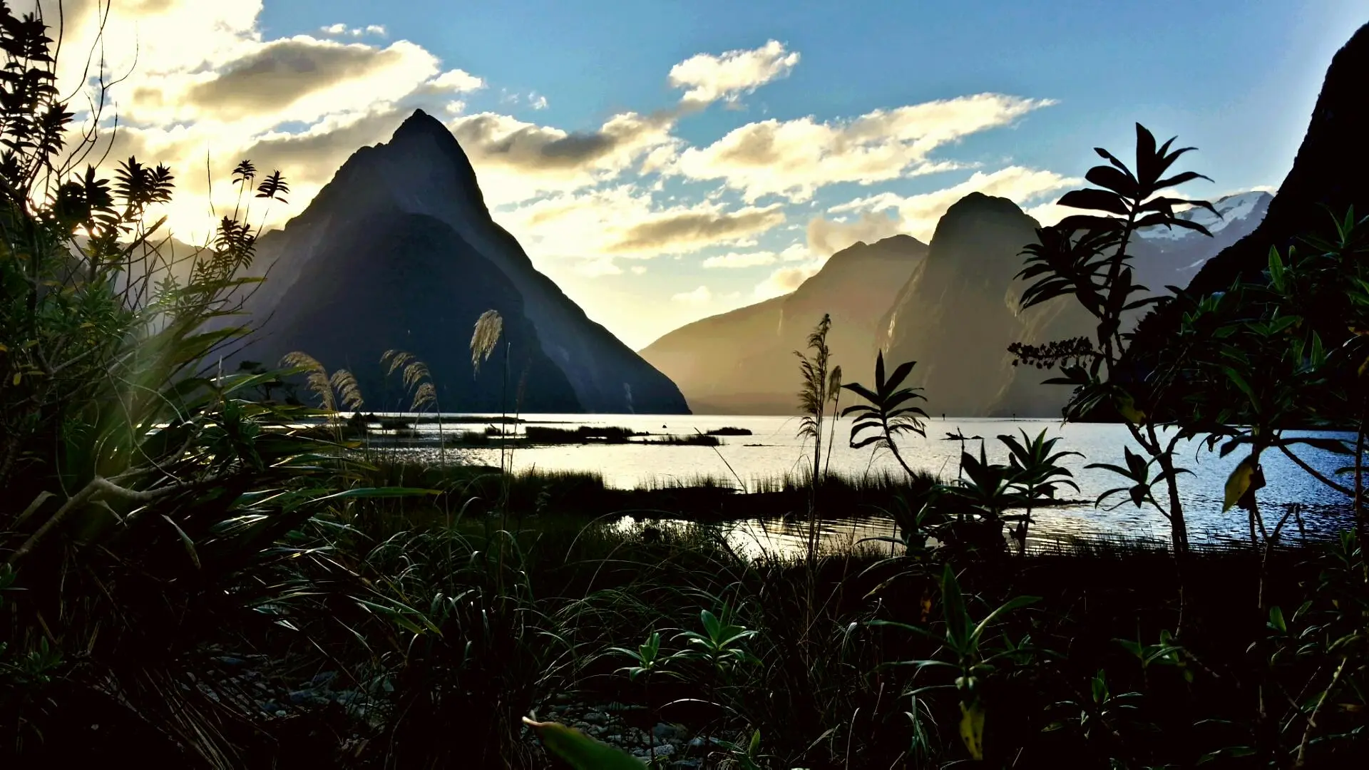 Vista di un lago, una montagna sullo sfondo e piante in primo piano